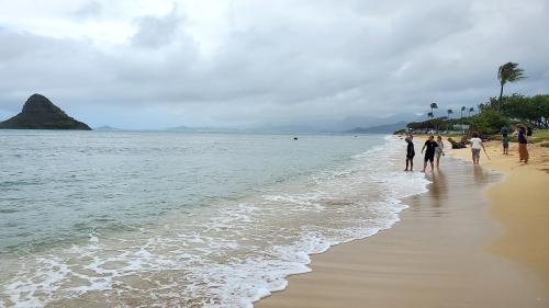 20241116 145604-Ashutosh-Wahane